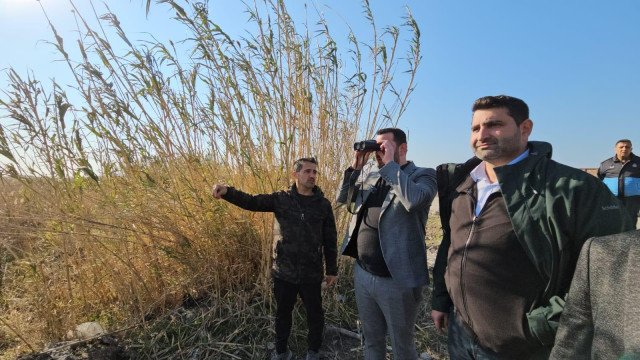 SAMANDAĞ BELEDİYESİ MİLLEYHA SULAK ALANINI KORUMA ÇALIŞMALARINA DEVAM EDİYOR.