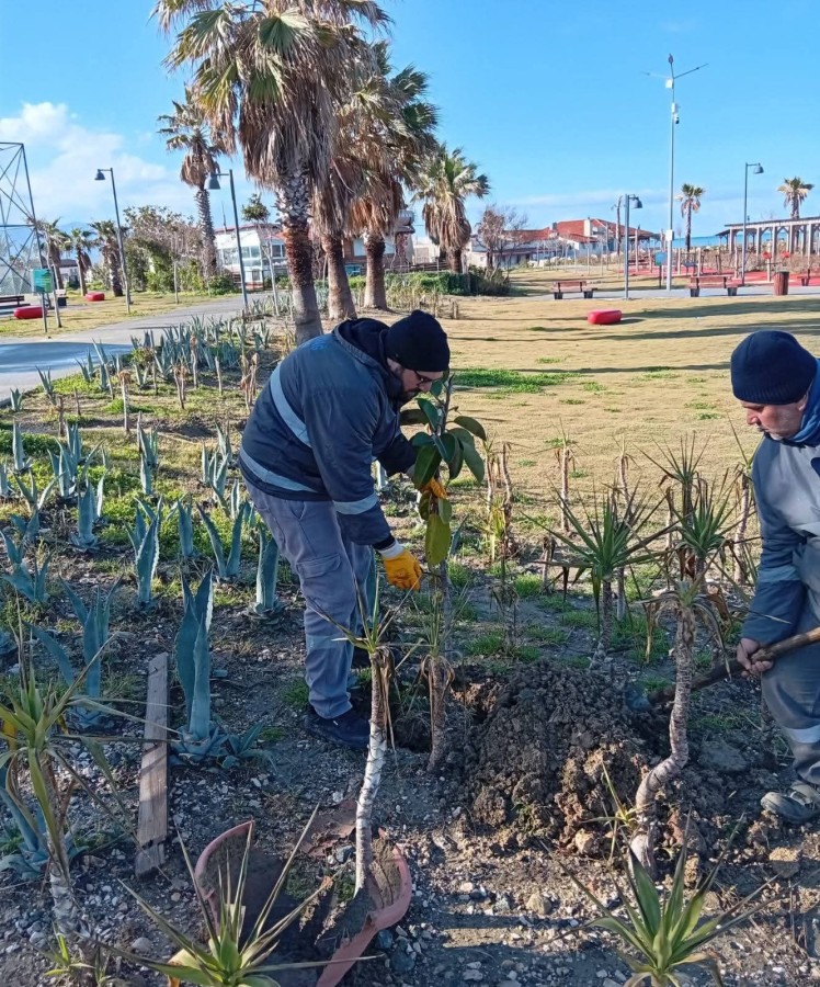PARK VE BAHÇELER MÜDÜRLÜĞÜ’NDEN İLÇE GENELİNDE YOĞUN ÇALIŞMA